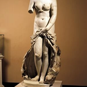 The Landolina Venus (also known as Venus Anadiomene, found by Saverio Landolina), Roman copy after a Greek statue, 1804