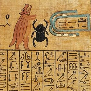 Magic spells from the Book of the Dead, papyrus, detail