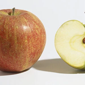 Malus pumila, two Apples, one cut in half showing flesh and core