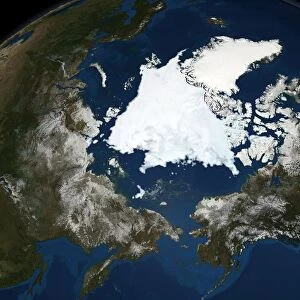 National Snow and Ice Data Centre observations of the Arctic Sea ice coverage in 2008