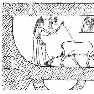 Nesitanebtashru ploughing and reaping. From The Greenfield Papyrus (funerary papyrus