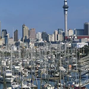 New Zealand, Auckland, boats moored at Westhaven Marina, with the Sky Tower and other modern buildings in the background