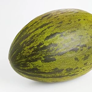 Piel de Sapo melon