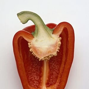 Red bell pepper half
