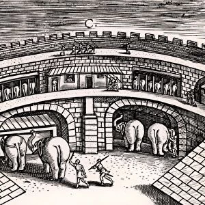 Roman army stables with elephants at ground level, with horses on the upper level