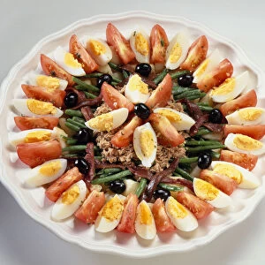 Salad nicoise on large white plate