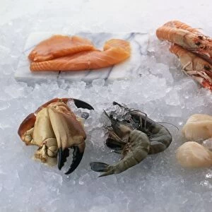 A selection of fresh seafood on crushed ice, including crab claws, prawns, scallops, clams, mussels, langoustines (scampi) and smoked salmon