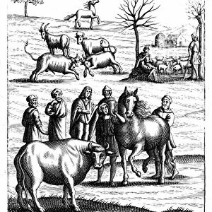 Sheep, cattle, horses and goats: In foreground a horse and a cow are being assessed by farmers