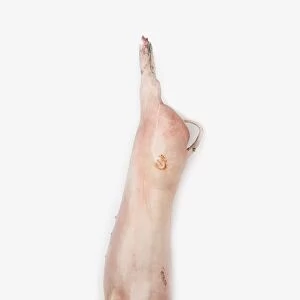 Whole skinned pig