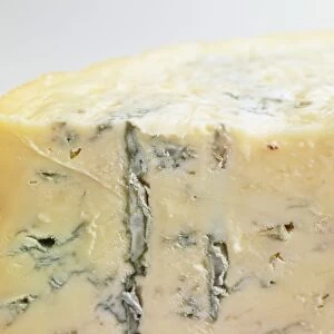 Slice of Gorgonzola cheese, close-up