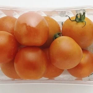 Small packaged tomatoes