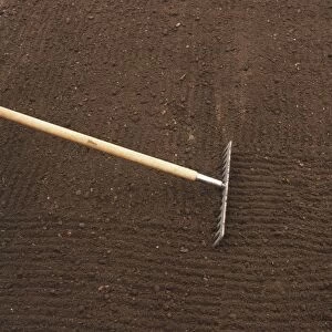 Soil being raked