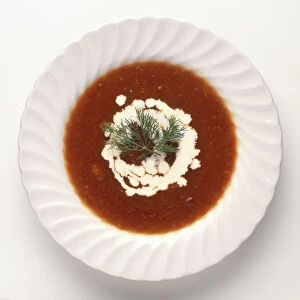 Solyanka, a traditional Russian, tomato-based soup with sour cream and dill garnish, view from above