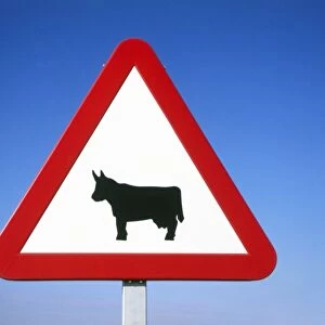Spain, warning sign bulls on road