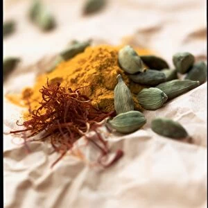 Spices, curry powder, saffron strands and cardamom pods