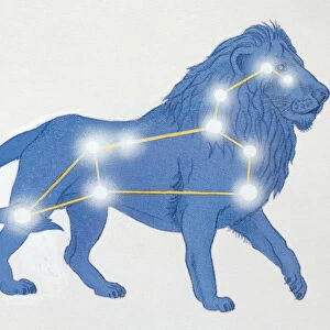 The star constellation of the lion