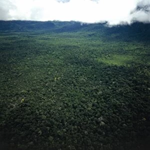 Venezuela, Amazonas State, Aerial view of Amazon rainforest