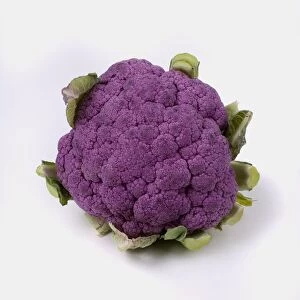 Violetto di Sicilia cauliflower