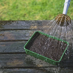 A watering can watering a tray of soil