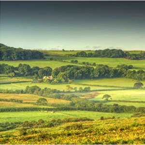A countryside view near Corfe Castle, Isle of Purbeck, Dorset, England