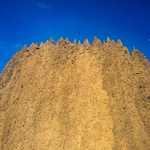 Termite mound in Litchfield National Park