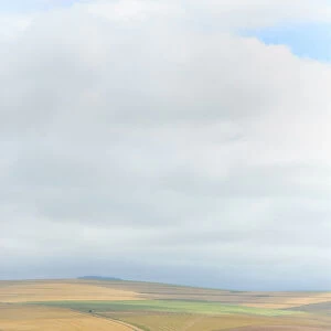 Africa, Cloud, Color Image, Crop, Day, Field, High Angle View, Horizon Over Land