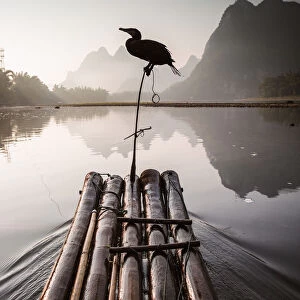 Bamboo raft with cormorant, Li river, China