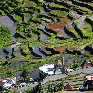 Batad rice terraces Philippines