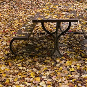 camouflaged pic nic table