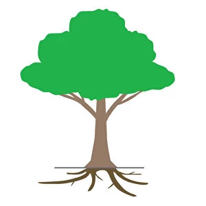 Digital illustration tree showing roots underground