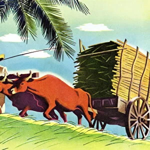 Farmer and Cattle Pulling a Cart