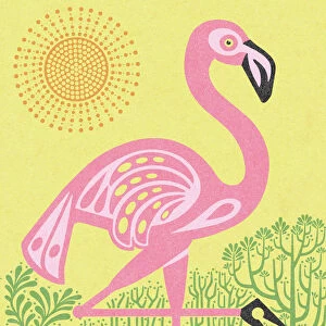 Flamingo With Sun