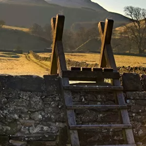 Ladder over stone wall, Lake District, Cumbria, England, United Kingdom