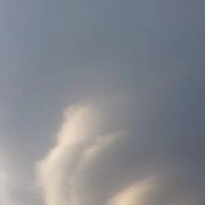 Lenticular cloud over Kluane Park
