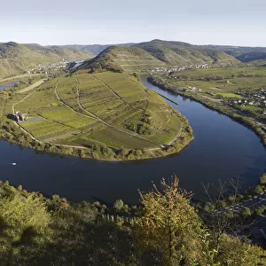 Loop of the Moselle River near Bremm, Rhineland-Palatinate, Germany, Europe