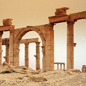 Palmyra in a sand storm. Syria