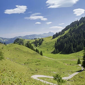 A path leading across lush meadows, Frontal valley, Stoos, Morschach, canton of Schwyz, Switzerland