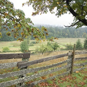 Rustic wooden fence on old farm, Cowichan Valley, British Columbia, Canada