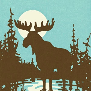 Silhouette of a Moose