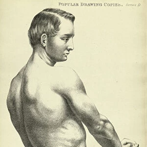 Sketching, drawing the human back, young man, life study, Victorian art figure drawing copies 19th Century