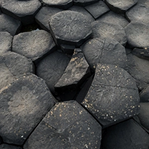 The texture of basalt column at Giants Causeway, Northern Ireland