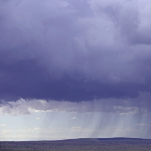 USA, Arizona, rainstorm and cumulonimbus clouds over desert, autumn