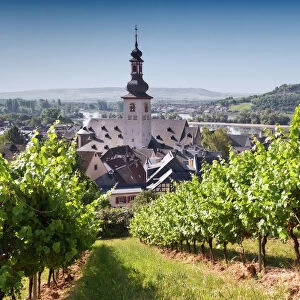 View through vineyard over Rudesheim am Rhein