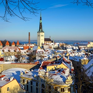 Winter in Tallinn