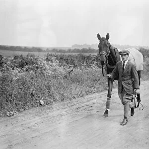 Brownhylda The racehorse. 3 June 1924
