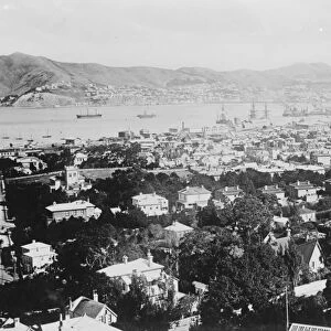 New Zealand. Wellington, a general view of the town and harbour from Thornden