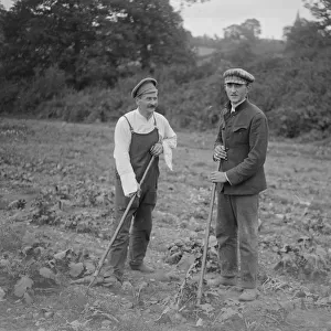 Two Russian Princes are among a party of refugees engaged in Agricultural work at Headley