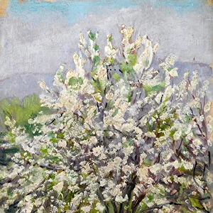Almond blossom (oil on panel)