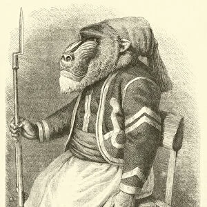 The Ape in a French Zouaves Uniform (engraving)