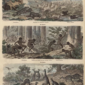Australia (coloured engraving)